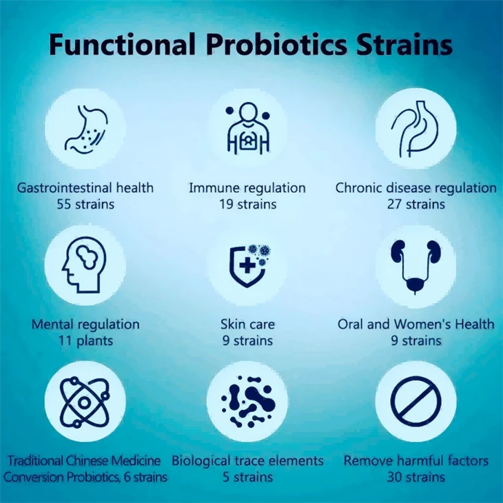 Bifidobacterium Breve