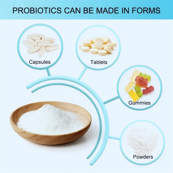 Lactobacillus Johnsonii