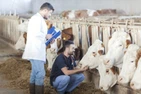 Clostridium butyricum taikymas gyvulių sveikatai